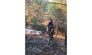 Alevlere karşı ortak mücadele