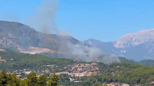 Antalya Kumluca’da orman yangını
