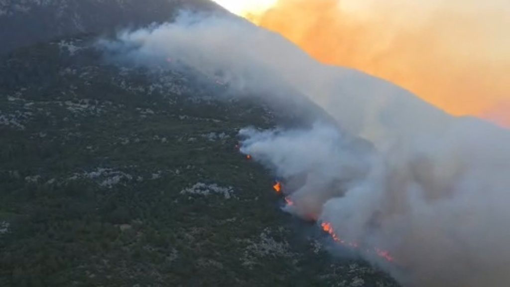 Antalya’da orman yangını