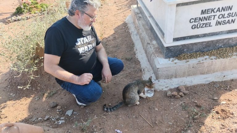 Aydın’da minik kedi, aylardır ölen sahibinin mezarının başında bekliyor