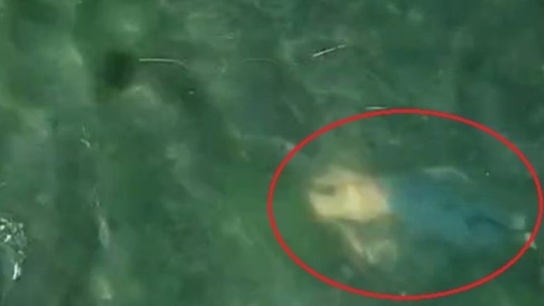 Balıkesir’de denizde can pazarı: Drone ile yeri belirlenen kişi son anda kurtarıldı