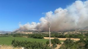 Çanakkale’de orman yangını