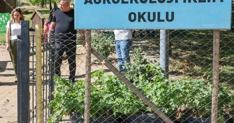 Diyarbakır’da Tıbbi Aromatik Bitki Üretim ve İşleme Tesisi