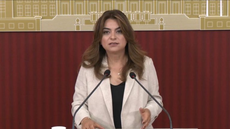 Gülistan Kılıç Koçyiğit: Çerçeve yasanın Meclis kapanmadan çıkacağına dair bilgiyi teyit edebilirim
