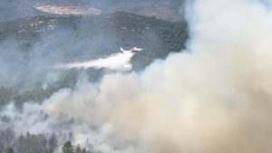 İletişim Başkanlığı’ndan orman yangınlarına ilişkin son durum raporu