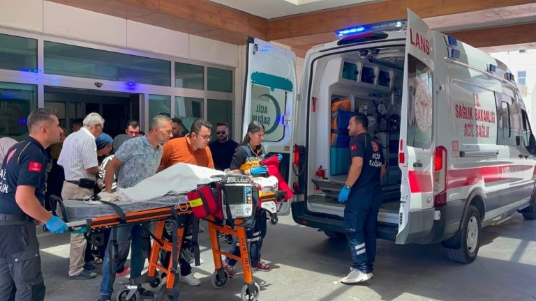 Karaman’da 3 yaşındaki çocuğa sahipli köpek saldırdı