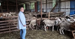 Kocaeli’nde hayvancılığa bütüncül destek