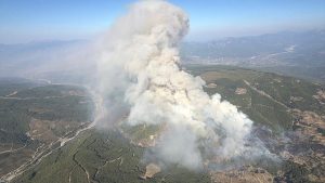 Muğla’da orman yangını çıktı