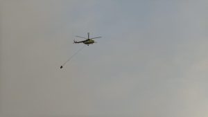 Muğla’da orman yangınına müdahale yeniden başladı