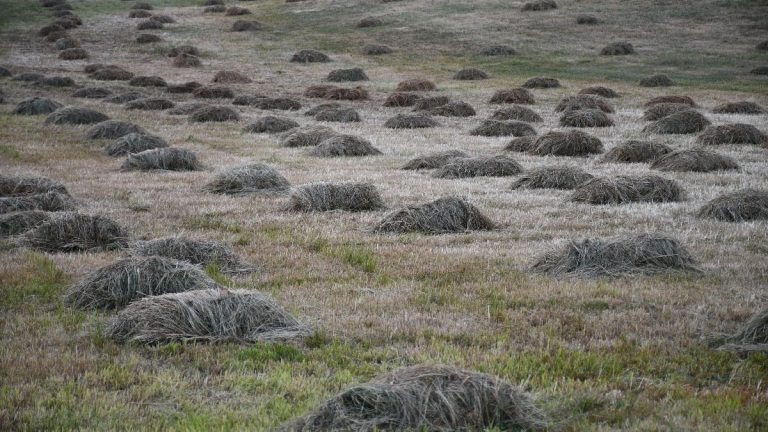 Şırnak’ta kış hazırlığı başladı