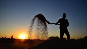 Türkiye’de işçilerin yüzde 13’ü sendikalı
