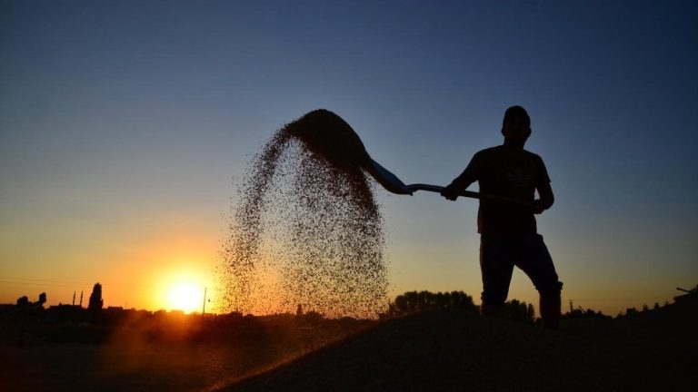 Türkiye’de işçilerin yüzde 13’ü sendikalı