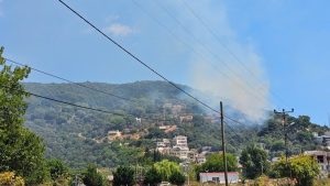 Balıkesir Marmara Adası’nda orman yangını