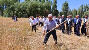 Bayburt’ta giden Binali Yıldırım, tırpanla ekin biçti