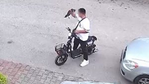Bolu’da yavru kediyi boğarak öldüren 15 yaşındaki şüpheli gözaltına alındı