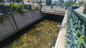 Eskişehir’in simgesi Porsuk Çayı’nda çöp alarmı