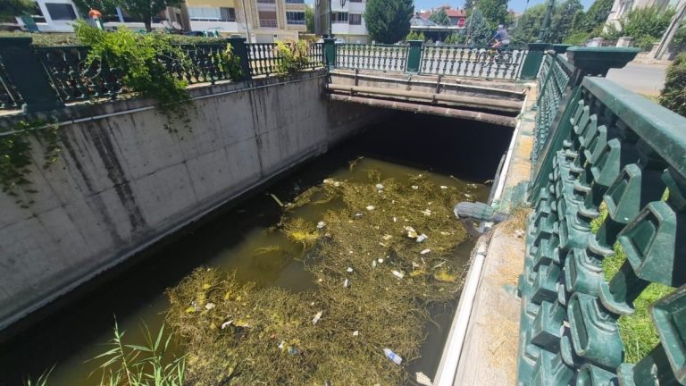 Eskişehir’in simgesi Porsuk Çayı’nda çöp alarmı