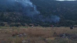 Gaziantep’te çıkan orman yangını söndürüldü