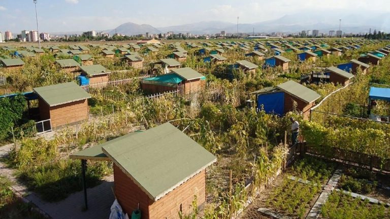 Hobi bahçeleri ve bungalovlar için yeni dönem: Arazi sınırlaması değişti