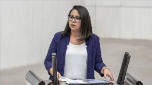 TİP milletvekili Sera Kadıgil hakkında ‘Cumhurbaşkanına hakaret’ ve ‘tehdit’ soruşturması